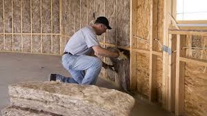 Best Basement Insulation  in Siesta Acres, TX