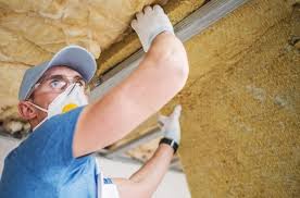 Best Attic Insulation Installation  in Siesta Acres, TX