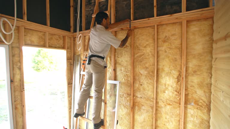 Best Insulation for New Construction  in Siesta Acres, TX