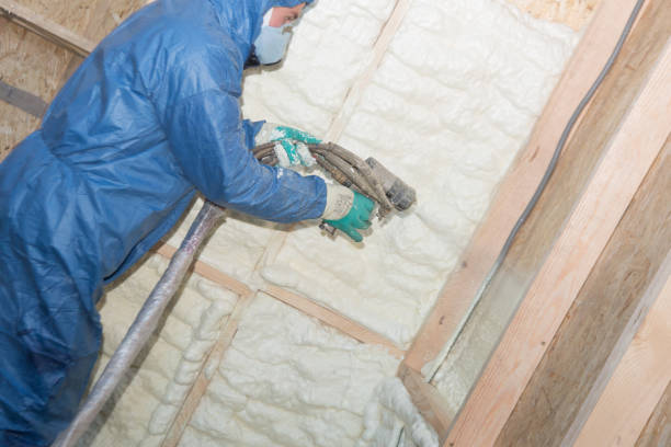 Best Commercial Insulation Services  in Siesta Acres, TX